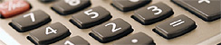 10-Stock Portfolio - More Than Penny Picks